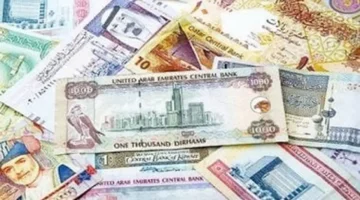 أسعار العملات الأجنبية في البنوك الحكومية والخاصة – الصالح 13